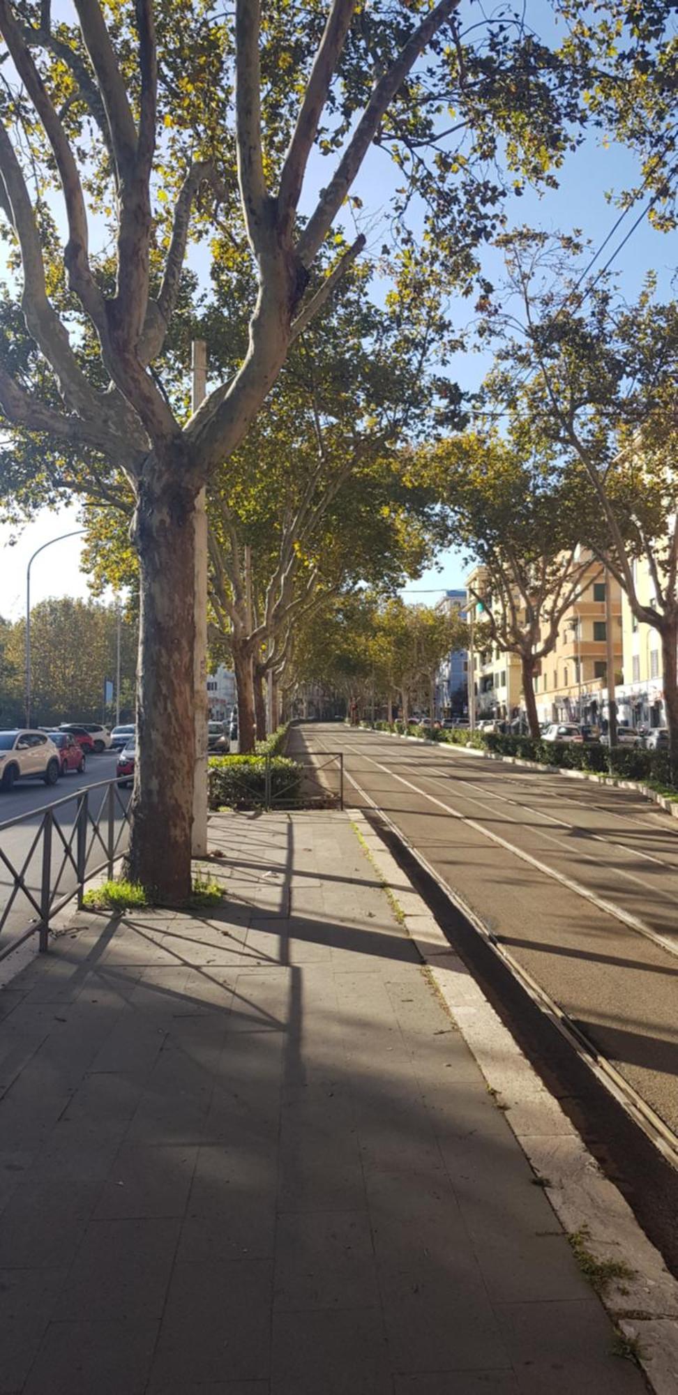 Trastevere Residenze Rome Buitenkant foto
